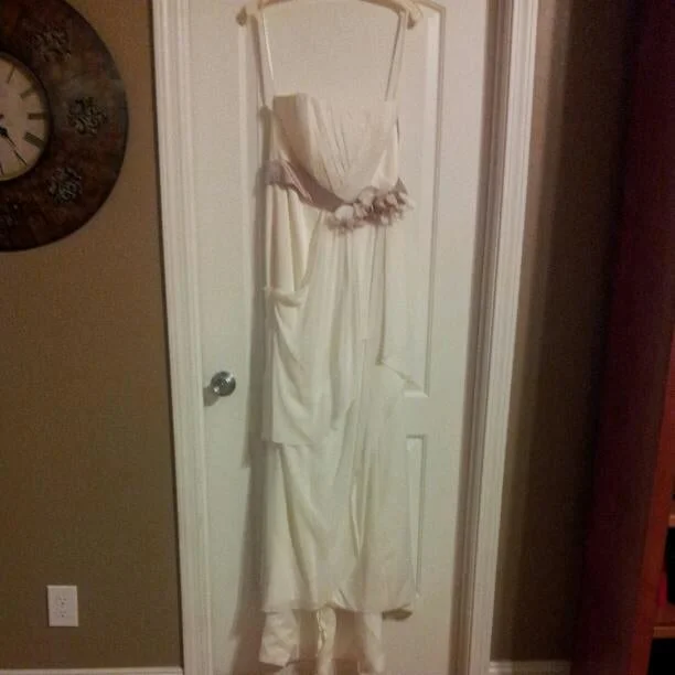 Price Drop Alert!David's Bridal David's Bridal WG3457 Size 10